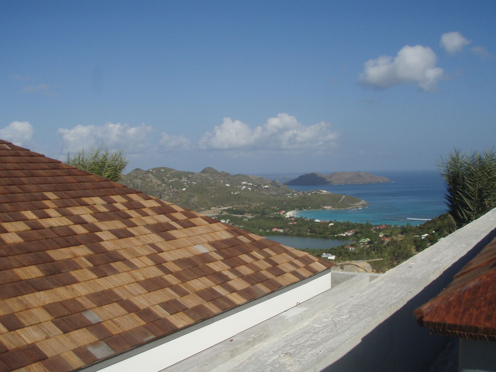 Wallaba posé à l'état neuf, non grisés