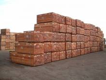 Nos prestations sur le secteur de Guadeloupe